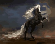 Картина по номерам Чудный конь